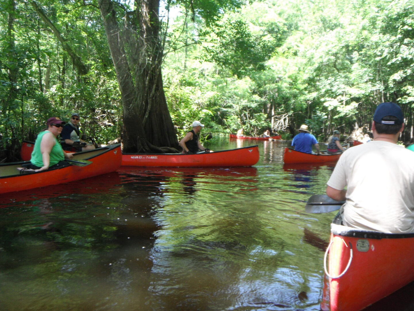 a group of people in different canoes
